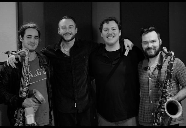 <h3>Professional Career</h3>